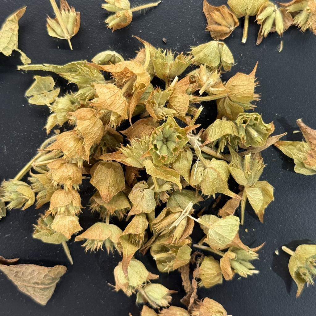 Cyprus Mountain Tea