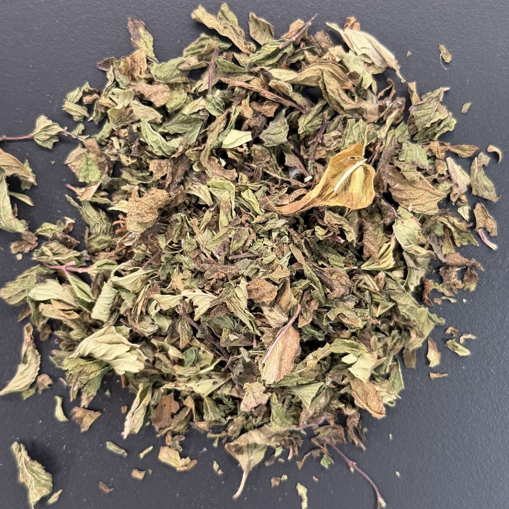 Fresh Mint